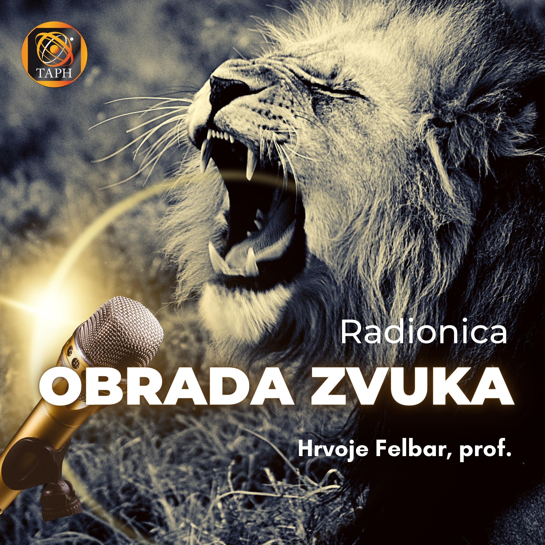 Obrada zvuka – izrada seanse