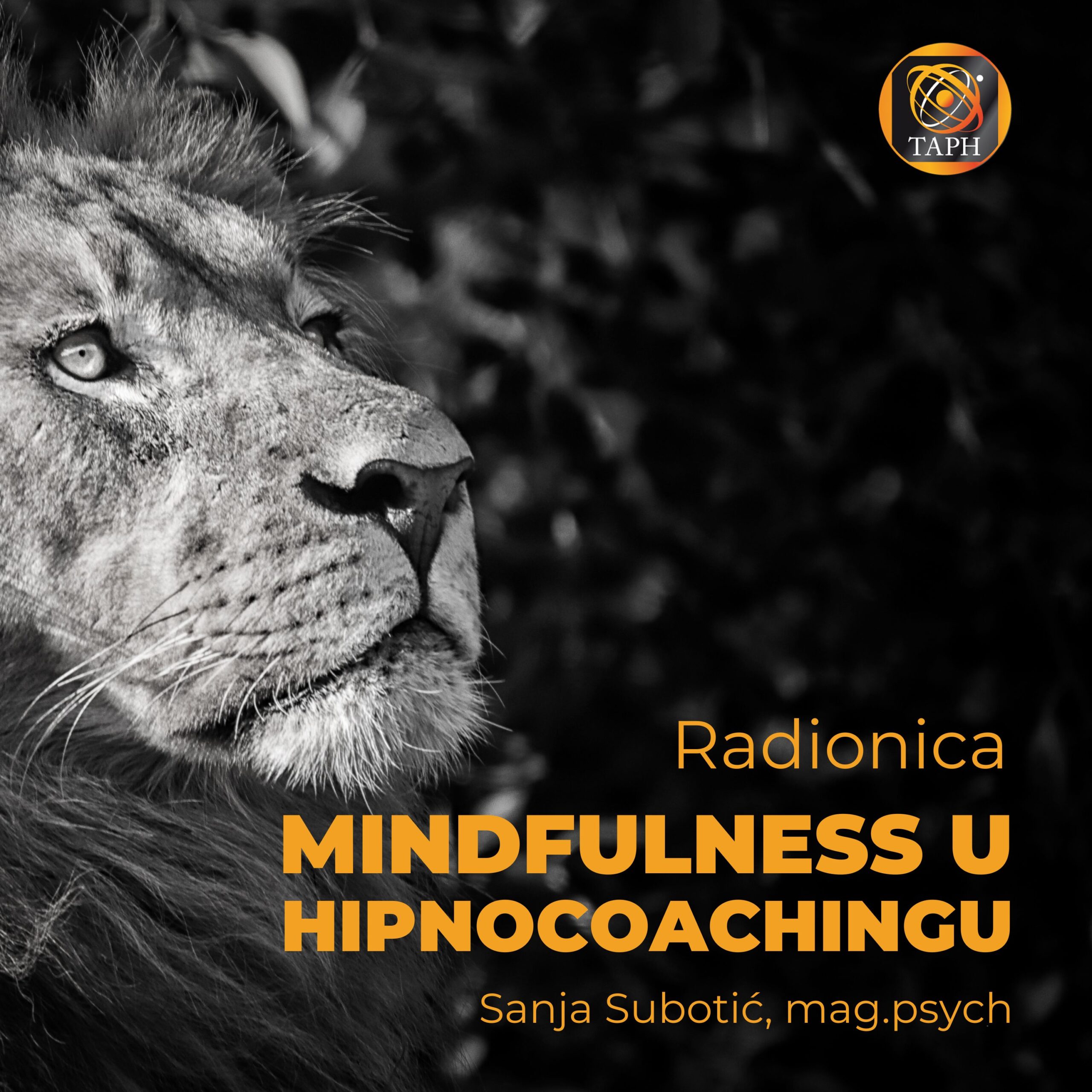 Mindfulness u Hipnocoachingu