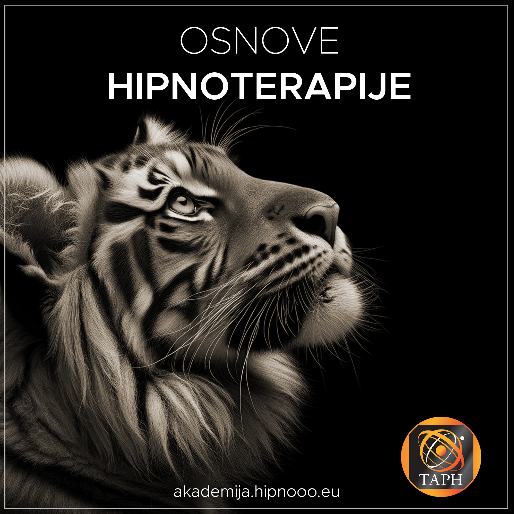Osnove hipnoterapije (č09/24)
