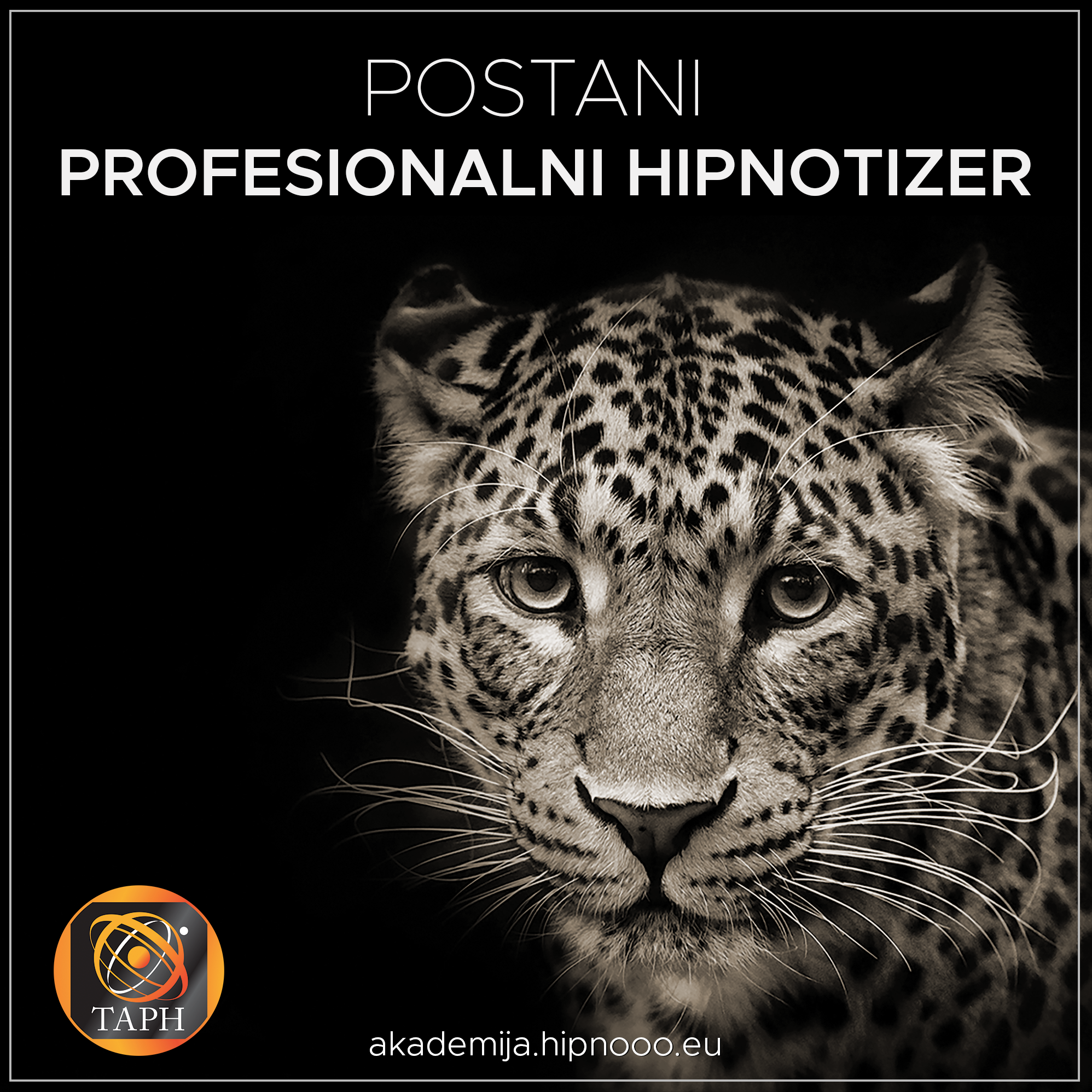 Profesionalna hipnoza (čet 2024)