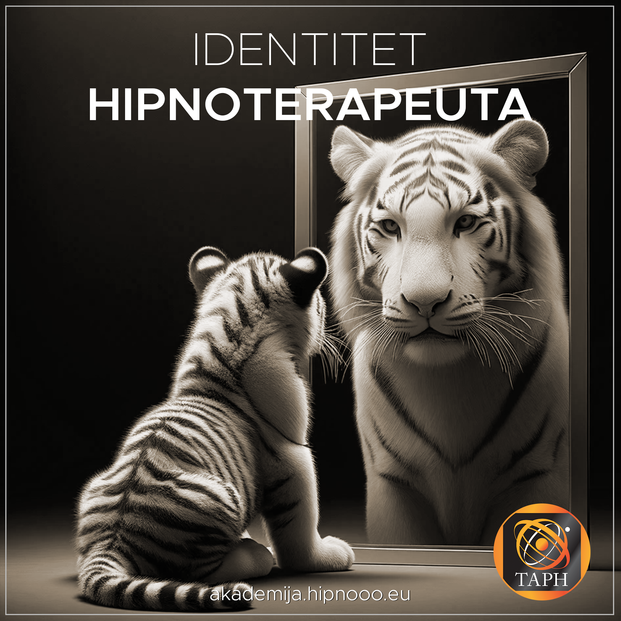 Diplomska radionica – identitet hipnoterapeuta