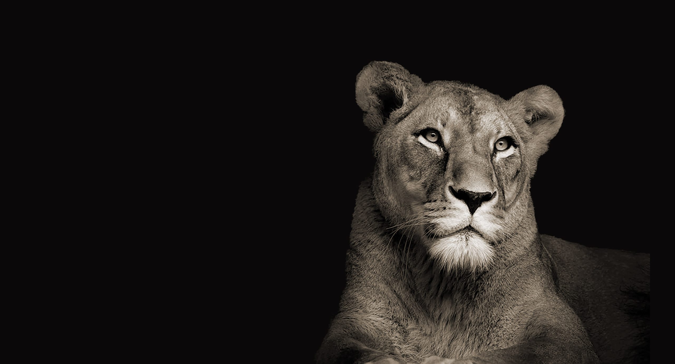 Osnove regresoterapije (ljeto 2024.)